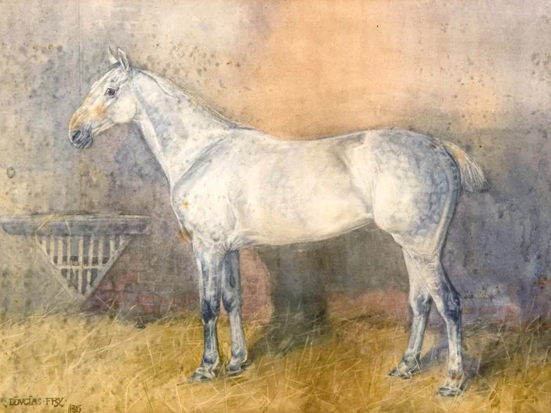 1872-Douglas Fry - Un cavallo grigio pomellato in una stalla, 1895